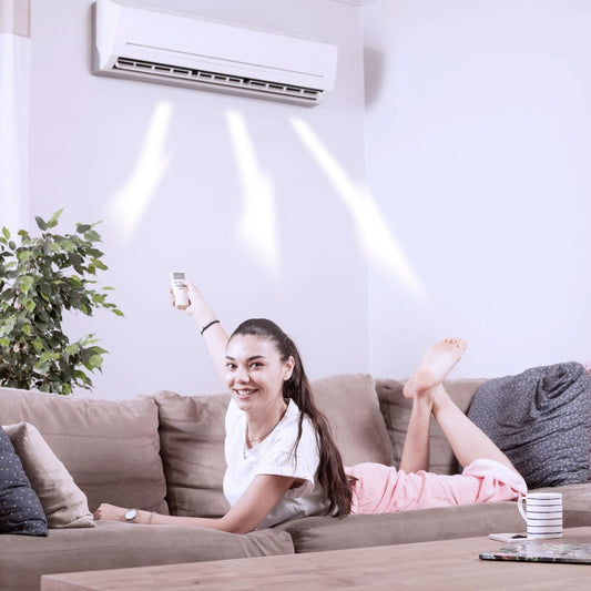 Diferențele între aerul condiționat inverter și cel convențional